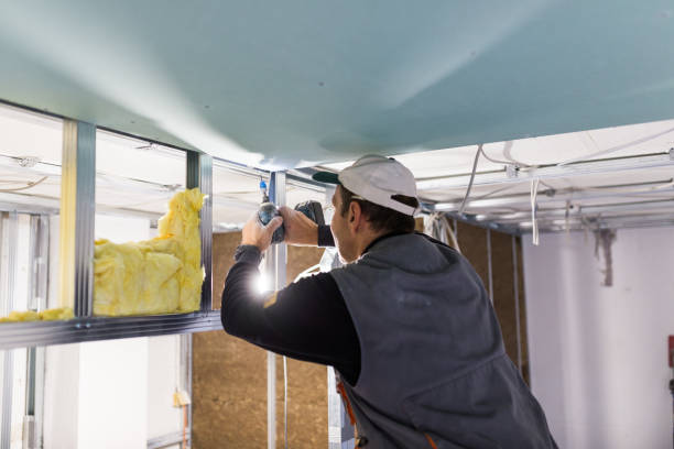 Types of Insulation We Offer in Lantana, TX