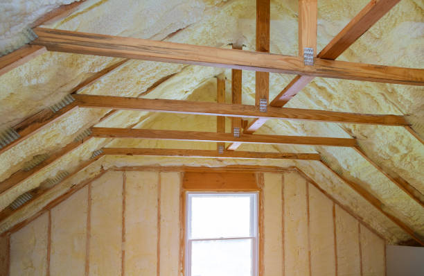 Best Commercial Insulation in Lantana, TX