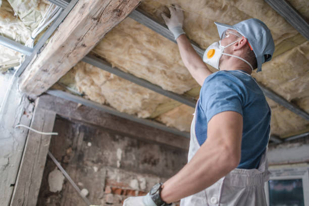 Best Residential Insulation in Lantana, TX