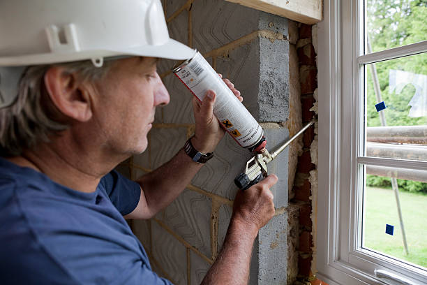 Best Geographic-Specific Insulation Services in Lantana, TX