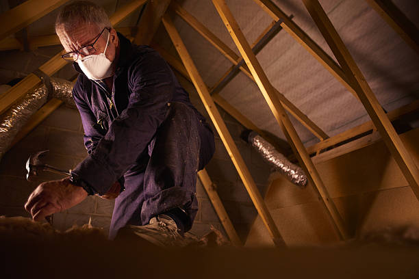 Professional Insulation Contractor in Lantana, TX