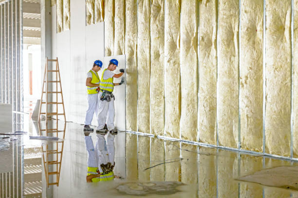 Best Spray Foam Insulation in Lantana, TX